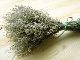 Wormwood powder helps fight parasites